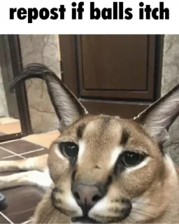 😝