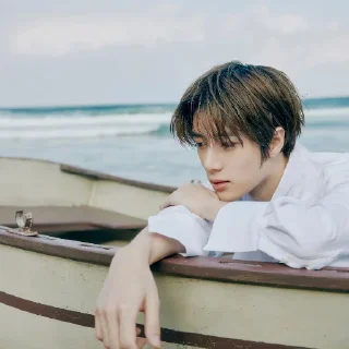 🐚