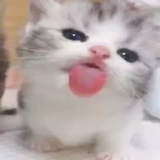 👅