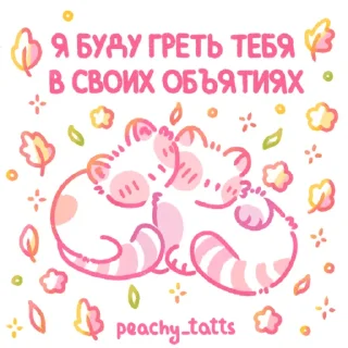 🐈