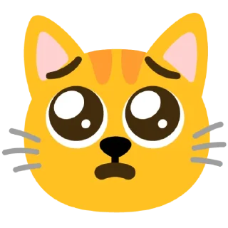 🤩