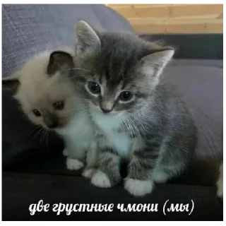 😄