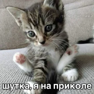 😁
