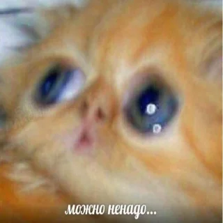 😮