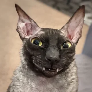 🤨