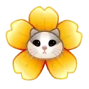 🌸