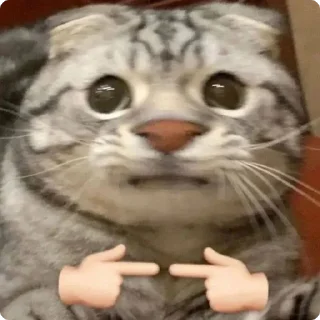 👉