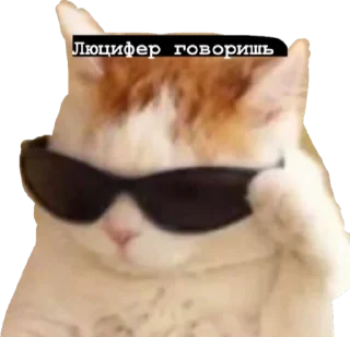 😎