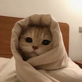 ☺️