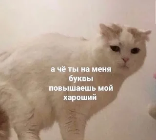 🤨