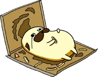 🍕