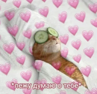 💗