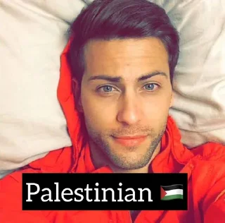 🇵🇸