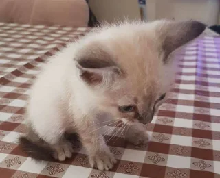 😍