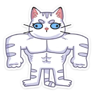 💪