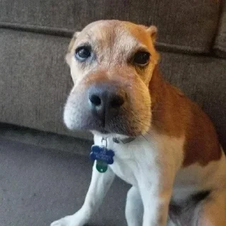 😶