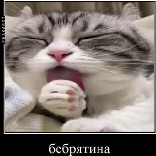 😋