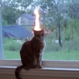 🔥