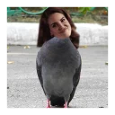 🐦