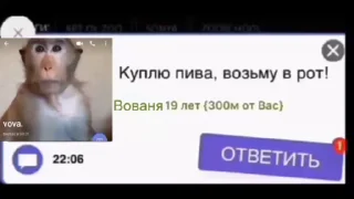 🙀