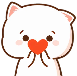 ❤️