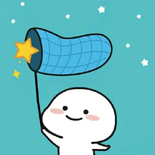 ✨