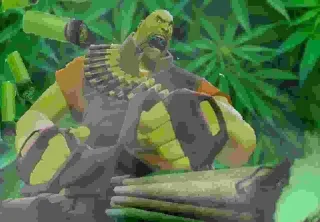 🌿