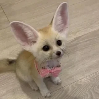 😊