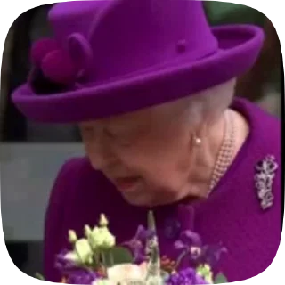 👑