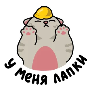 😺