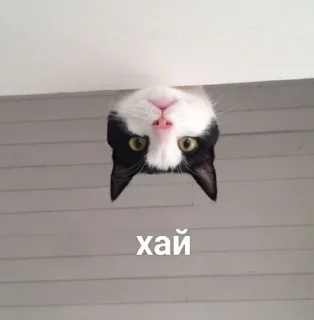 🙃