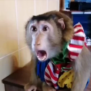 😨