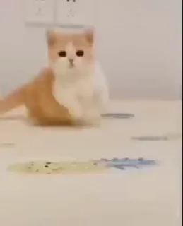 👀
