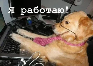 😎