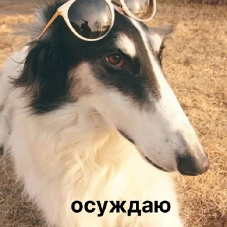 😡