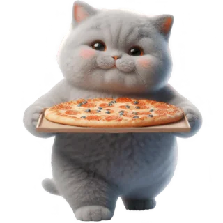 🍕