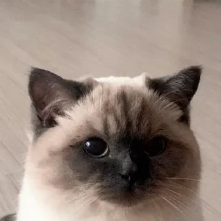 🤨