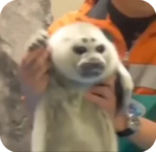 👋