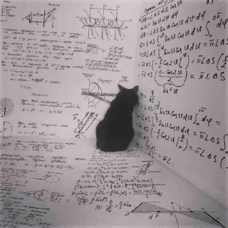 🐱