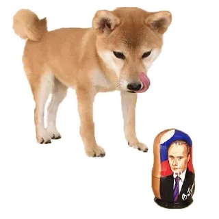 🐶