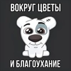 мемы тут 👉 @ilovehypeyeees