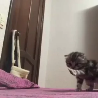 😄