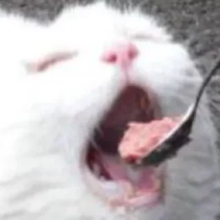 🥄