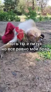 😘
