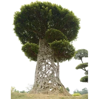 🌳