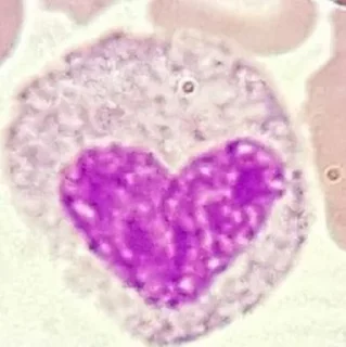 ❤️