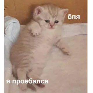 😢