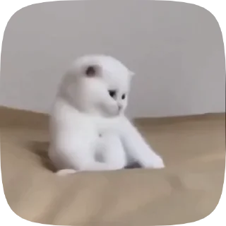 👀