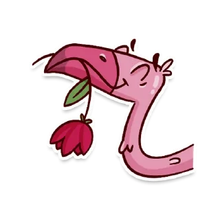 🦩