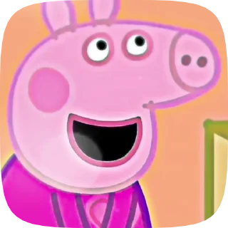 🐷